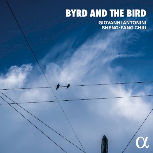Byrd and the Bird