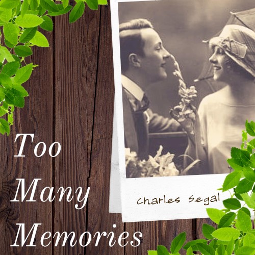 Too Many Memories
