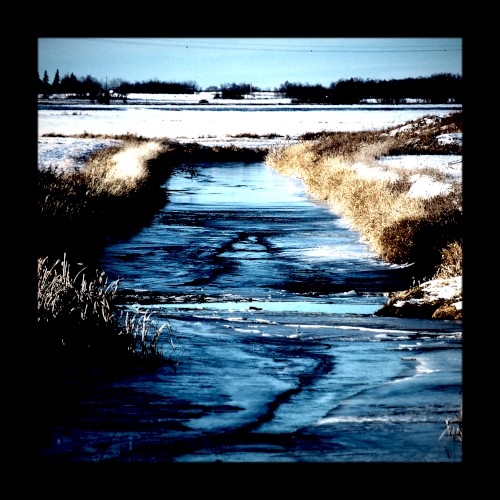 transience