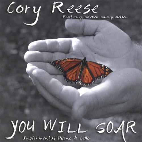 You Will Soar