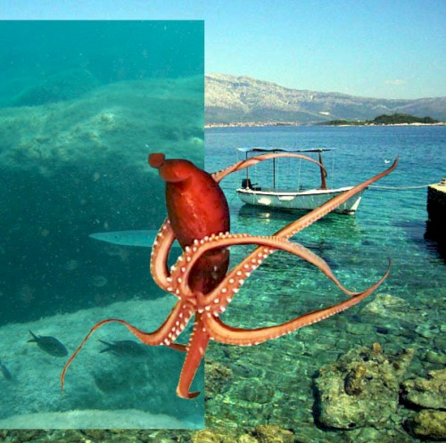 Sea Water
