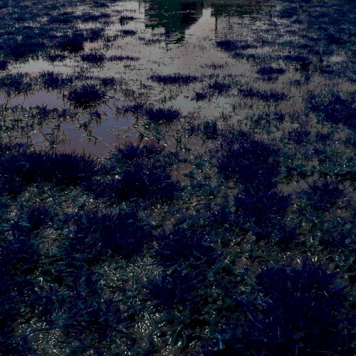 Frames II