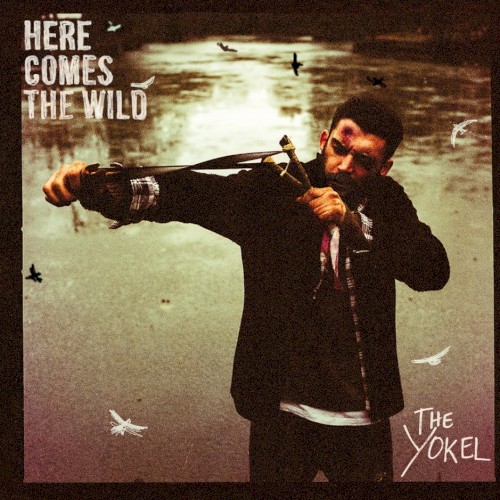 Here Comes the Wild
