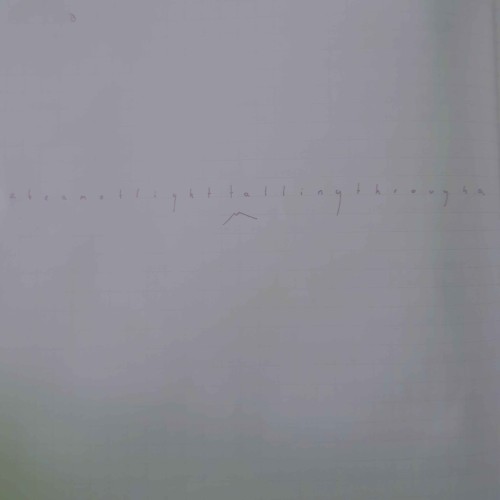 SP:NL003