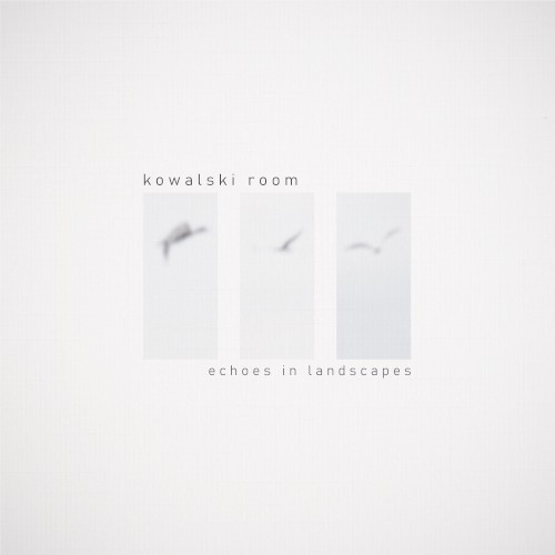 Echoes in Landscapes