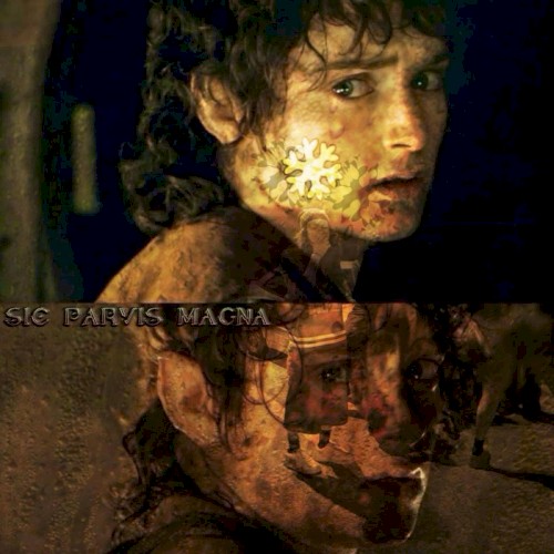 Sic Parvis Magna
