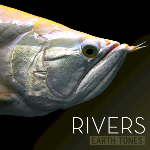 Rivers