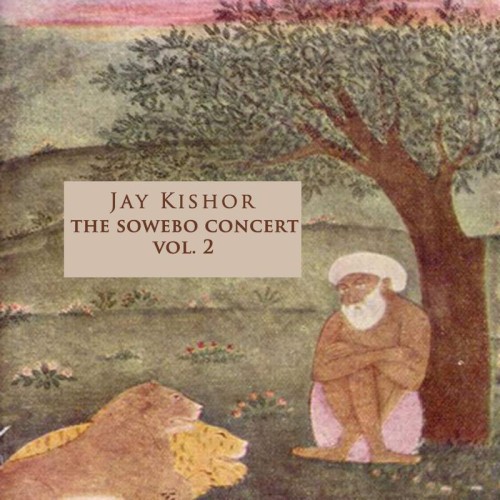 The Sowebo Concert - Vol.2