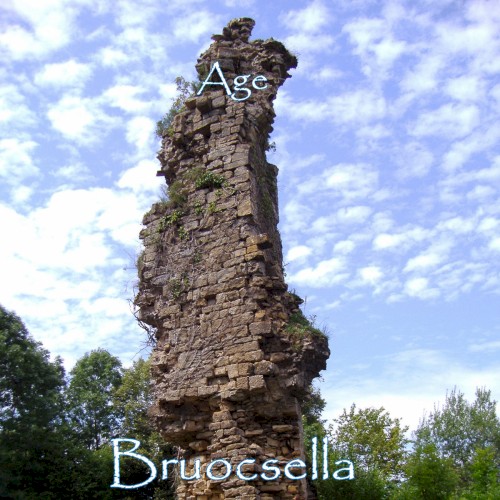 Bruocsella