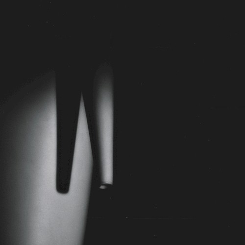In the Shadow, In the Light