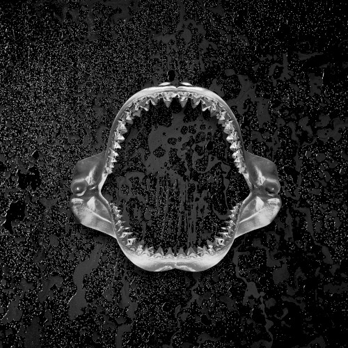 PERIOD. (instrumentals)