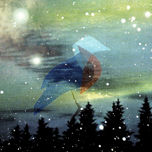 Bluebird