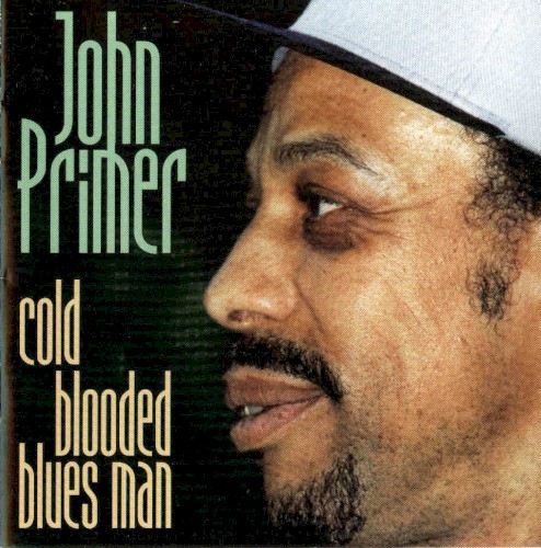 Cold Blooded Blues Man