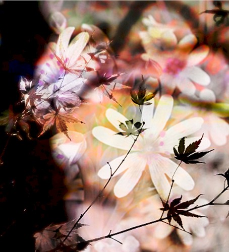 The Dance of Affinity
