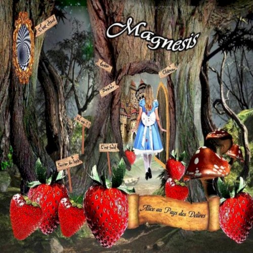 Alice Au Pays Des Délires
