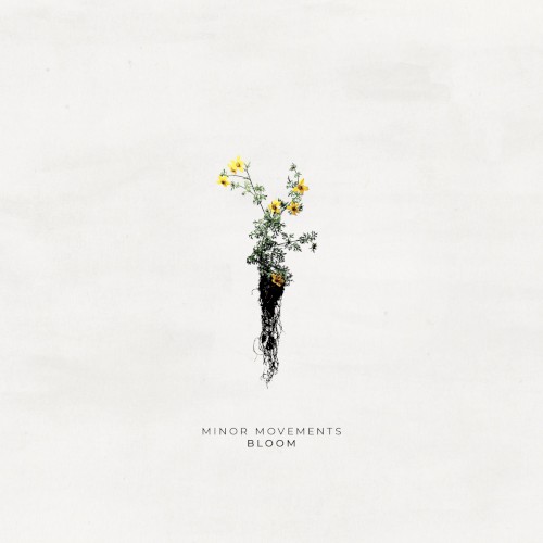 Bloom