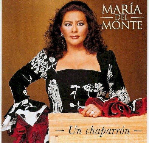 Un chaparrón