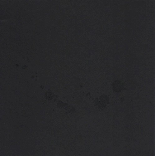 Songs For The Victims (From A Decaying Country)