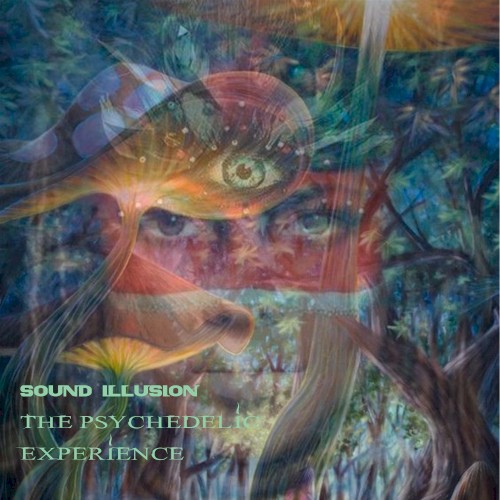 The Psychedelic Experience