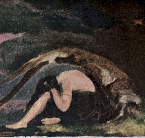 The Deserter