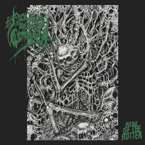 Rise of the Rotten