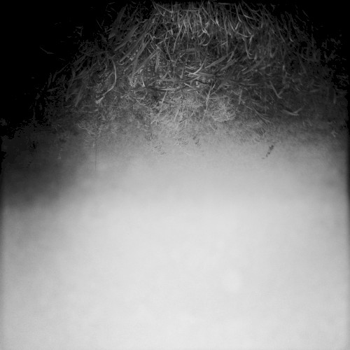 Verso