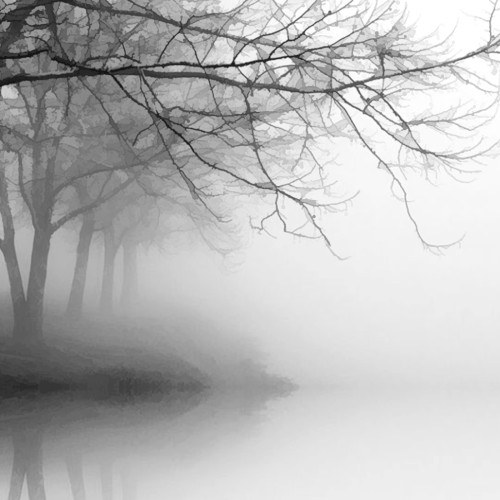 WHITE Winter