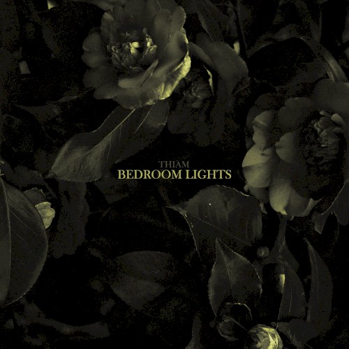 Bedroom Lights