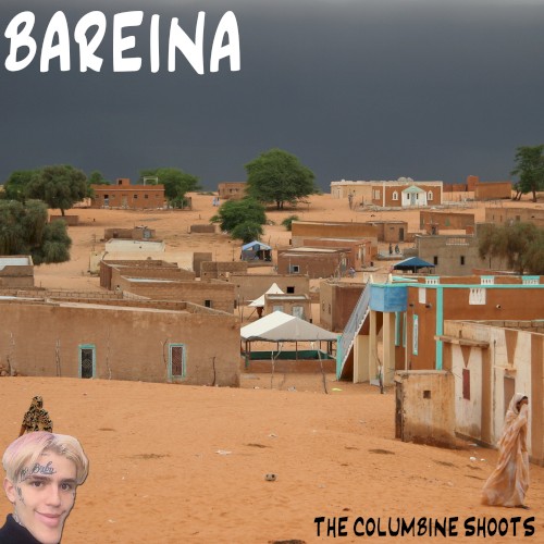 Bareina