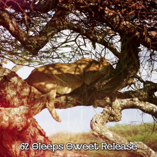 62 Sleeps Sweet Release