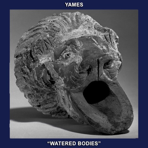 Watered Bodies