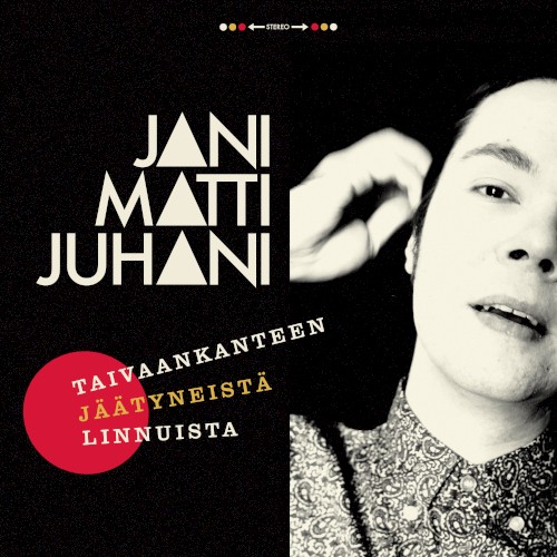 Taivaankanteen jäätyneistä linnuista
