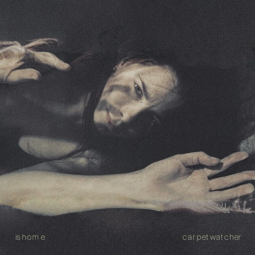 carpet watcher