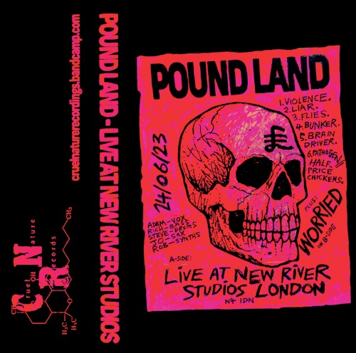 Live at New River Studios / Worried