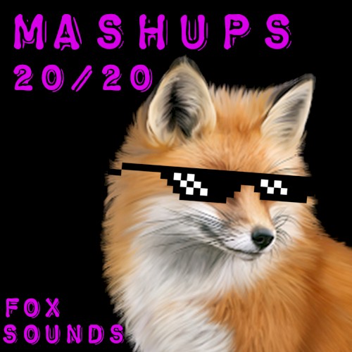 MASHUPS 20/20