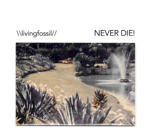 NEVER DIE!