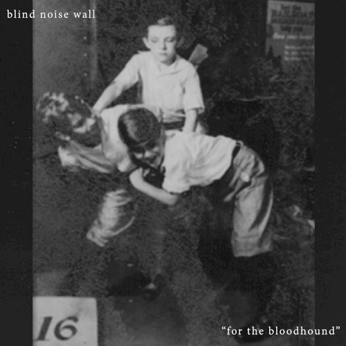 for the bloodhound