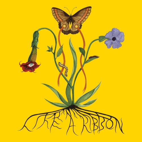 Like a Ribbon