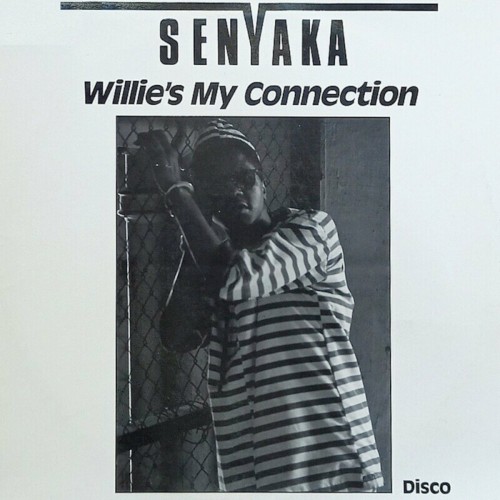 Willie’s My Connection