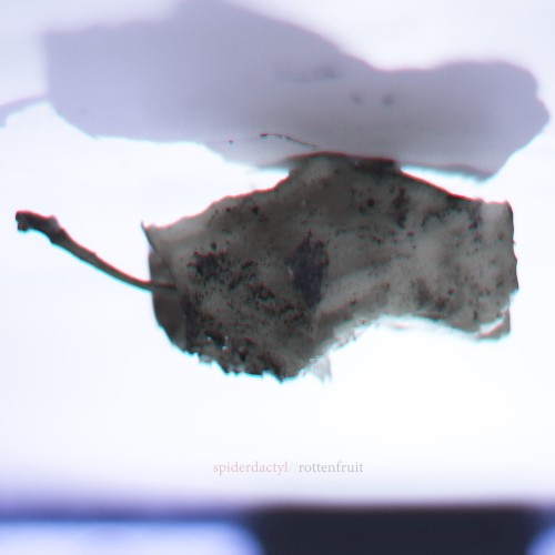 Rotten Fruit