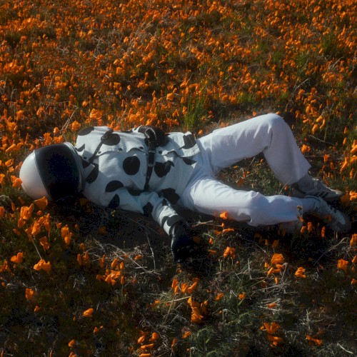 Poppy Dreams: A Collection of Works Without Intended Release