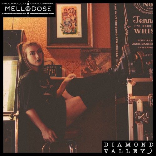 DIAMOND VALLEY