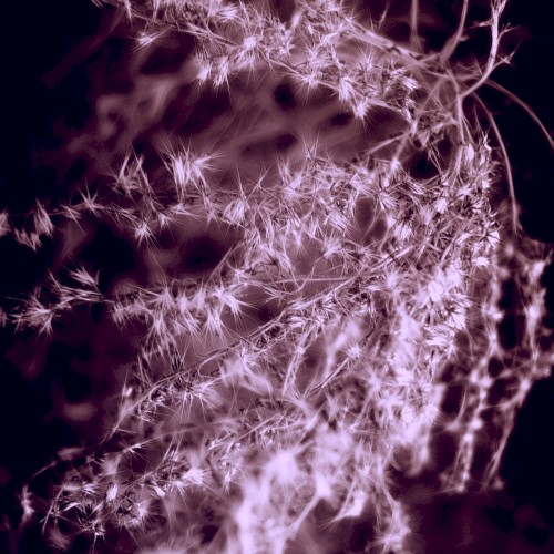 Innertales II - Endless Tales