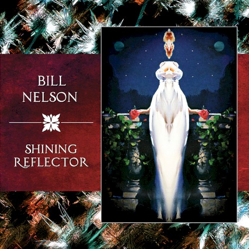 Shining Reflector