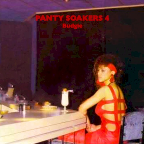 Panty Soakers 4