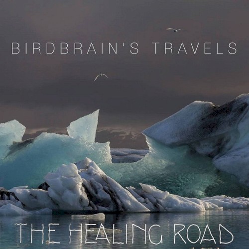 Birdbrain’s Travels