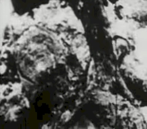 Begotten Chapter XIII (The End)