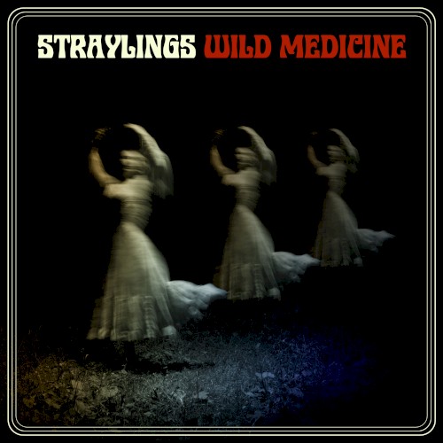 Wild Medicine
