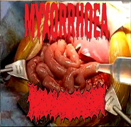Myxorrhoea / Bowel Fermentation