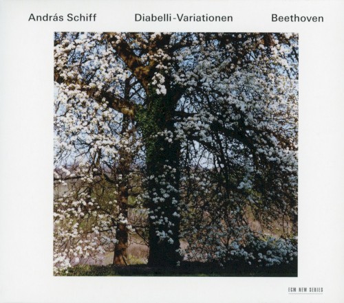 Diabelli-Variationen
